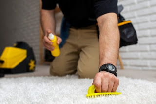 Carpet Cleaning vs. New Carpet: Which Is the Better Option?